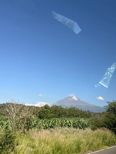 The image depicts a volcanic peak, likely the Popocatépetl, in the background, under a clear blue sky. The peak is partially shrouded in a wispy cloud. In the midground, there is a dense green field of crops, possibly corn, bordered by lush trees and vegetation. In the foreground, tall, dry grasses are prominent, with a road visible on the far right. The scene appears to be a rural landscape in or near San Buenaventura Nealtican, Mexico. The image also shows reflections on a glass surface, possibly a window, which obscure portions of the sky with indistinct shapes.