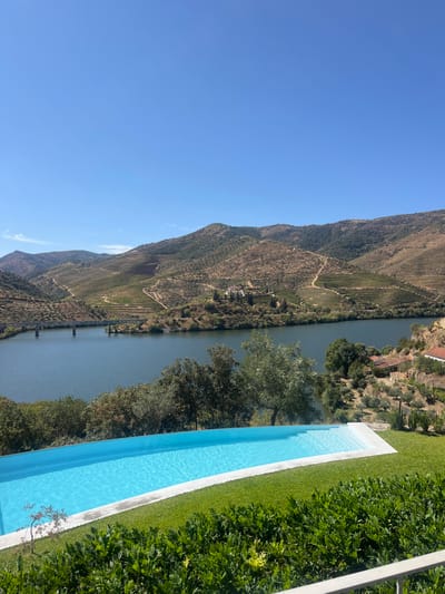 The image displays an outdoor panoramic scene under a clear, bright blue sky, characteristic of the Douro River valley in Carrazeda de Ansiães, Portugal. In the immediate foreground, a dense band of dark green foliage rises, bordering a manicured green lawn that slopes down. A rectangular infinity pool, filled with clear light blue water and featuring white coping, occupies the central foreground, its surface showing minor ripples. Beyond the pool, a wide, dark blue river flows horizontally across the midground. A multi-arched bridge, appearing to be metallic or stone, spans the river towards the left side of the frame.
The riverbanks and the expansive background are dominated by steep, terraced hills and mountains. These hills are extensively cultivated with vineyards, evident from the distinct terraced patterns and rows of vegetation. Dirt tracks or roads wind across these terraced slopes. Scattered throughout the landscape, particularly on the right riverbank and central hills, are numerous small buildings with reddish roofs and light-colored walls, suggestive of agricultural estates or dwellings. A more substantial cluster of buildings is visible on a prominent hillside across the river. No individuals or animals are present, and no actions or interactions are depicted.