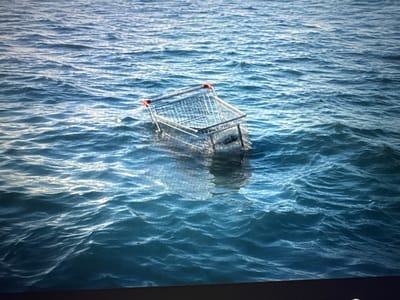 The primary subject of this image is a metallic shopping cart, partially submerged in a body of water. The scene depicts the shopping cart floating or sinking amidst blue-grey water, which is characterized by numerous small waves and ripples that reflect overhead light. The cart is positioned towards the center-right of the frame, tilted with its front wheels and a significant portion of its wire basket submerged, while the back part and the red-handled push bar remain above the waterline.
The activity captured is the presence of an out-of-place urban object in a watery environment. No people or animals are visible in the frame. The time of day appears to be daytime, given the clear reflections on the water. The wavy surface suggests some current or wind activity, but the weather otherwise seems clear enough for bright light. A notable detail is the presence of a white computer mouse cursor visible in the upper-left area of the water, indicating that this image is a photograph of a screen displaying the scene.
Given the location context of Dolna banya, Bulgaria, the body of water is likely a river, such as the Maritsa, or a local lake. There is no visible text on the shopping cart or anywhere else in the scene. The overall impression is one of an unusual or discarded item in an unexpected setting, potentially highlighting themes of litter or urban runoff.