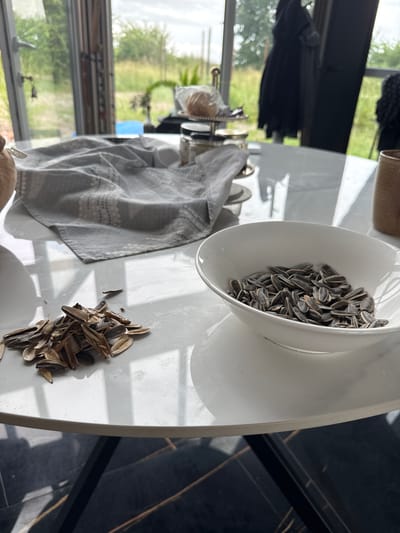 In Vol'noe, Russia, a white marble-topped table is positioned near a large window offering a view of green foliage and a cloudy sky. On the table, a white bowl contains a pile of uncracked sunflower seeds, while a separate pile of empty sunflower seed shells sits to the left. A grey linen napkin is folded on the table behind the shells. A three-tiered silver serving tray with a glass dome and a small jar is also visible on the table, along with another jar next to it. In the background, through the window, a person in dark clothing stands near a doorway, and a brown woven cylinder is on the right side of the table. The table is supported by a dark metal frame, casting shadows on a dark floor.