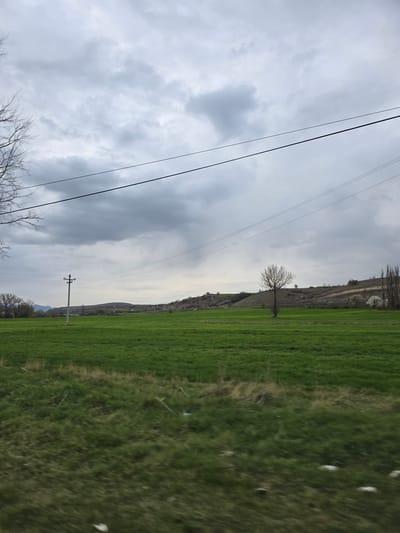 The scene, captured near Dobroshane, North Macedonia, presents a rural landscape under an overcast, heavily clouded sky of varying gray tones. Multiple dark-colored utility lines traverse the upper third of the frame horizontally. The immediate foreground, roughly the lower 15-20%, exhibits significant motion blur across green and brown grass, consistent with photography from a moving vantage point, and contains scattered light-colored debris, possibly plastic or paper.
The midground is dominated by a vast, vibrant green field, indicative of agricultural cultivation. Within this field, on the left side, stands a tall, light-colored utility pole equipped with a crossarm and insulators. Bare tree branches are visible at the extreme left edge of the frame. Towards the right side of the field, a solitary, bare deciduous tree with a rounded canopy stands prominently. Further to the right, a cluster of tall, slender bare trees, possibly poplars, and a smaller tree or bush adorned with white blossoms are visible near the field's edge.
The background consists of undulating hills or gentle slopes stretching across the horizon. These hills appear largely barren or covered with sparse, light-brown vegetation, characteristic of a transitional season like late winter or early spring. Faint outlines of distant structures are discernible on some of these hills. No people, animals, or discernible interactions are present in the image.