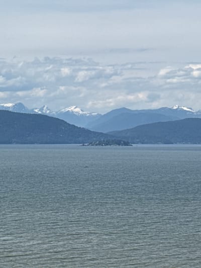 The image shows a body of water bordered by forested mountains with snow-capped peaks in the distance. The sky is overcast. The location is potentially within Electoral Area A, Canada, given the prompt, but without additional information, the specific location is indeterminate. There are no people visible.