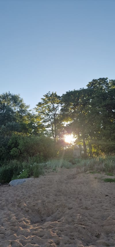 The image depicts a serene beach scene at Vārzas, Latvia, bathed in the warm glow of the setting sun. The foreground is dominated by textured sand, showing clear imprints of footprints. A large, grey rock rests on the left side of the sand, partially obscured by tall grasses and reeds. Behind the sandy shore, a dense cluster of trees and bushes forms the middle ground. The sunlight filters through the leaves of the trees, creating a lens flare effect and illuminating the foliage. A small, weathered wooden structure, possibly a shed or a small building, is partially visible amidst the trees. The sky above is a clear, pale blue, transitioning into a deeper shade as it nears the horizon. The overall atmosphere is tranquil and natural, suggesting a peaceful evening by the sea. There are no people or animals visible in the scene.