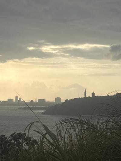 The image captures a panoramic coastal scene in Sơn Trà Ward, Vietnam, under a bright, overcast sky. The foreground features dense, dark green and brown-toned grasses and leafy vegetation, silhouetted against the brighter background. A body of dark, choppy water, likely a bay or ocean, occupies the lower midground. A prominent, dark, tree-covered hill or peninsula extends from the right, jutting into the water. Atop this hill, two distinct subjects are visible as dark silhouettes: a very tall, slender standing statue, identifiable as the Lady Buddha, and to its right, a multi-tiered pagoda structure. A thin pole or antenna is also visible to the left of the statue. In the distant background, across the water on the left, a city skyline is silhouetted, comprising multiple high-rise buildings and a large suspension or cable-stayed bridge. The sky, which dominates the upper portion, is heavily clouded with a bright, warm yellow-white glow at the horizon, indicating strong backlighting, possibly from a sunrise or sunset.