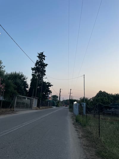 The image captures a street in Skala Avdiron, Greece, during twilight. The sky is a soft gradient of blue and pale pink, with the moon visible in the upper left corner. A dark, slender tree stands prominently on the left side of the road, casting a shadow. Several utility poles with overhead wires stretch across the sky, creating a linear pattern. The road, asphalted and marked with white lines, curves gently into the distance. Along the left side of the road, a metal fence encloses a property with lush green foliage and some pink flowers. On the right side, a dirt path runs alongside the road, bordered by a wire fence and overgrown vegetation. In the distance, a dark-colored car is visible on the road, and lights from buildings can be seen further down. The overall scene depicts a quiet, rural road at dusk.