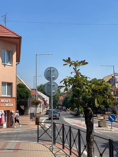 The image depicts a sunny daytime scene on a street in Stupava, Slovakia. A pedestrian walkway is in the foreground, bordering a street with a marked crosswalk. A person is walking away from the camera on the sidewalk, wearing a white t-shirt, black shorts, and a pink baseball cap. A clothing store named "MOLET MODA" is visible on the left, with mannequins displaying clothing.
The street is paved and has traffic lanes. Several cars are driving or parked along the road, including a dark gray SUV in the foreground with its headlights on. Traffic signs, including a blue sign with a white arrow indicating a right turn, are present. A lamppost with a modern design stands on the sidewalk.
A young tree with green and brown leaves is positioned near the center of the frame, in front of the street. Buildings line the street, with a two-story building on the left displaying windows and architectural details. Other buildings further down the street have varied facades and rooflines. Green trees and some hanging flower baskets add to the urban greenery. The sky is clear and blue, indicating good weather.