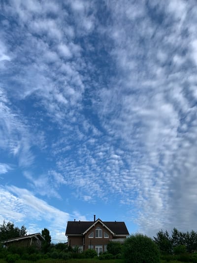 The image depicts a residential area with two houses and lush greenery under a dynamic sky filled with altocumulus clouds. The sky is a vibrant blue, with the clouds forming a wispy, textured pattern across the frame, stretching from left to right and thinning out towards the right edge.

On the right side of the image, a two-story brick house with a dark tiled roof is prominent. It features a central chimney and multiple windows, including triangular windows on the upper floor. The house is partially obscured by dense green bushes and trees in the foreground.

To the left of the brick house, a smaller, older wooden house with a sloping roof is visible, also surrounded by greenery. The houses appear to be situated in a suburban or semi-rural setting.

The foreground consists of a thick layer of green grass and various types of bushes and trees, contributing to a natural and somewhat overgrown aesthetic. The overall scene suggests a peaceful, domestic environment, possibly in the city of Chernovo, Russia, given the architectural style and vegetation. There are no people or animals visible in the image.