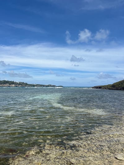 The image shows a coastal scene in Le Gosier, France. The right side of the image is dominated by shallow water and a rocky shoreline. The water appears clear, revealing the texture of the seabed. A line of vegetation and low-lying buildings is visible on the horizon in the center. To the left is a sky with scattered clouds and patches of blue. The scene is bathed in sunlight.
