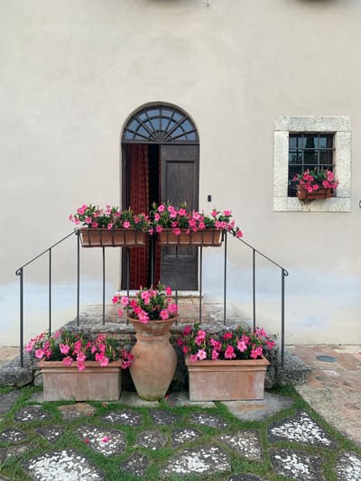 The image depicts an exterior view of a building entrance, likely in Castiglione d'Orcia, Italy. The scene is dominated by a cream-colored stucco wall with a dark wooden door featuring an arched, multi-paned window above it. To the left of the door, a small, square window with a stone frame and iron bars is visible, containing a planter box with bright pink flowers.

A wrought iron railing with four horizontal bars extends from the building, adorned with multiple planter boxes filled with lush pink flowers. The railing and planters are strategically placed along what appears to be a short flight of steps leading up to the door. Beside the railing, a large, aged terracotta amphora sits on the ground, also with pink flowers cascading from its opening.

To the right of the railing, a pathway made of irregular, dark stone slabs interspersed with green grass and moss is visible. These stones are marked with white lichen. The lighting suggests it is daytime, with clear, overcast, or diffused sunlight, as there are no harsh shadows. The overall atmosphere is serene and picturesque, emphasizing the floral decorations and rustic architecture. There is no visible text in the image.