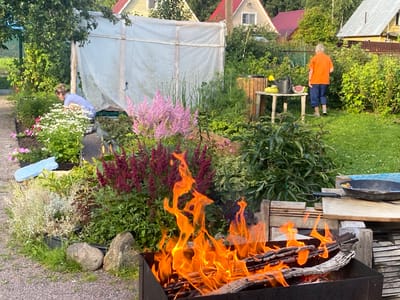 In Leipyasuo, Russia, an outdoor scene depicts a backyard garden with a central focus on a barbecue grill ablaze with orange flames. In the foreground, the grill contains burning logs. To the left, a woman wearing a light blue shirt and dark pants is tending to a flowerbed filled with white and pink blossoms. She is crouched down and appears to be working with the plants. Behind her, a makeshift greenhouse covered with translucent white sheeting stands. Further into the garden, a wooden table holds a watering can, a slice of watermelon, and a yellow object, possibly a bell pepper. To the right of the table, an older person wearing an orange t-shirt and dark blue pants stands facing away from the camera, looking towards the garden. Various flowering plants, including pink astilbe, and lush green foliage surround the area. In the background, several houses with red and yellow roofs are visible, interspersed with trees and greenery. The ground is a mix of gravel and grass. A large, dark pan rests on wooden planks to the right of the grill, with a small yellow object inside it.