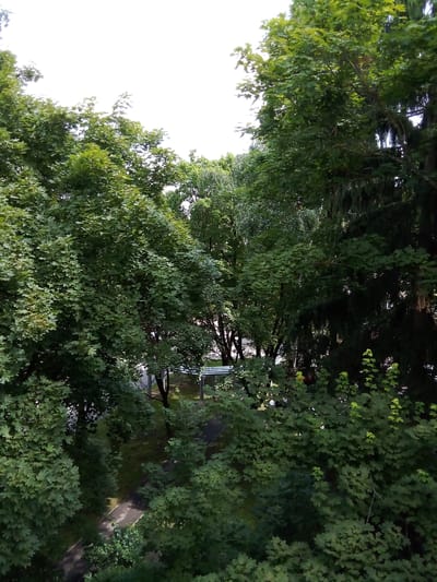 The image shows a view from above, looking down into a wooded area with a path winding through it. The trees are dense and green, with sunlight filtering through the leaves. In the background, there is a glimpse of a building with a white roof, possibly a shed or a small structure. The overall impression is one of a quiet, natural setting within a potentially urban or suburban environment. The location is identified as посёлок дачного хозяйства «Архангельское», Russia. There are no people or animals visible in the image, and no particular actions or interactions are depicted. The scene appears to be a static snapshot of a park-like or garden area.
