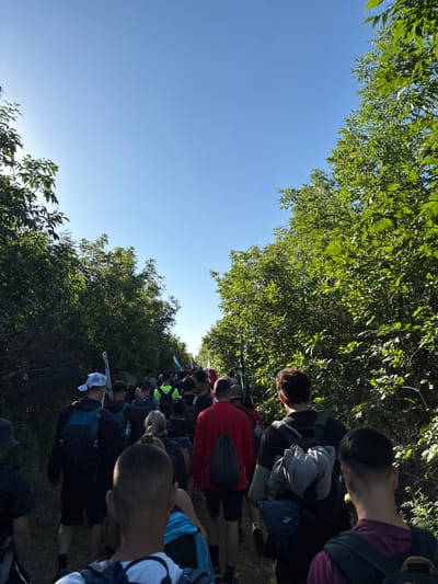 The image shows a large group of people walking along a path lined with trees. The sky is visible between the trees. The location is Lipnitsa, Bulgaria. The people are wearing various clothing and carrying backpacks. The action is walking. The environment is a path lined with trees in a rural setting.