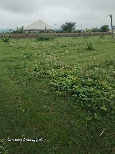 The image depicts a vacant lot with overgrown grass and scattered small white flowers. A low concrete block wall runs horizontally across the middle ground, behind which a single-story house with a light-colored, gabled roof is visible. The house has several windows and appears to be set back from the wall. Palm trees and other vegetation are present behind the house. In the far background, mountains can be seen under a cloudy sky. A wooden utility pole with wires is situated on the right side of the image. The foreground is dominated by a grassy area with some fallen leaves. The bottom left corner of the image has a watermark that reads "Samsung Galaxy A03". The scene is located in Doka-Tofa, Nigeria.