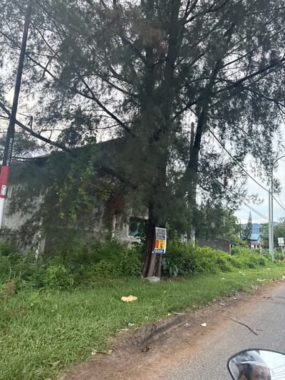 The image depicts an outdoor scene along a road in Lamkruet, Indonesia. A large tree with dense foliage dominates the left side of the frame, its branches obscuring the sky. Behind the tree, a building with a weathered facade is partially visible, surrounded by lush green vegetation. A road runs along the right side of the image, with its surface showing tire tracks and scattered debris.
Attached to the tree is a sign with text in what appears to be Indonesian. The sign is yellow and red and shows an arrow pointing to the right, with the text "500M" below it. Another smaller sign, mostly obscured by the tree, is also visible. In the distance, more greenery and some structures can be seen, suggesting a rural or semi-urban environment. A utility pole and wires are also present in the background. The overall impression is of a roadside view with natural elements and some signs of human activity. The lighting suggests it is daytime, possibly overcast given the brightness of the sky. The image seems to be taken from a moving vehicle, as indicated by the slight blur and the presence of a rearview mirror at the top right corner of the frame, reflecting a person's face.