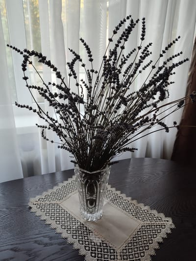 A bouquet of dried lavender stands in a clear, ornate glass vase on a dark wood table. The vase rests on a cream-colored fabric runner with an intricate, lace-like trim. The runner is placed on a round table with a visible wood grain.

Behind the vase, sheer white curtains are drawn, allowing diffused light to filter through. Through the curtains, a hint of an outdoor scene is visible, suggesting a window. The lighting appears soft and natural, indicating it could be daytime, possibly late afternoon or early morning, given the gentle illumination.

The lavender stalks are dark and slender, with many small, dried florets clustered along their lengths. The overall impression is one of quiet, natural beauty, evoking a sense of calm and perhaps nostalgia. The scene is set indoors, in what appears to be a domestic environment. There is no visible text in the image. The location context provided is Abinsk, Russia.