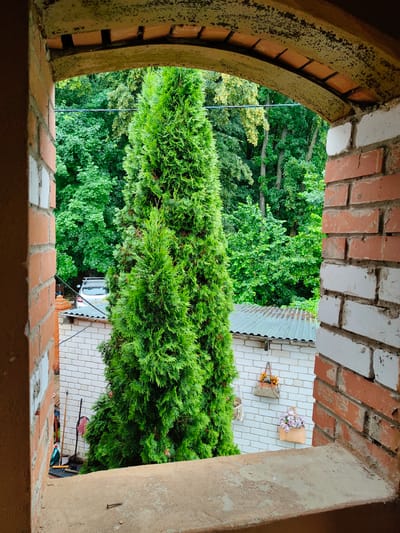 This is a medium shot of a view through an arched brick opening looking out onto a yard with lush green trees and some structures. The opening is framed by rough, aged brickwork on the left and right, with a textured, concrete ledge in the foreground. The archway itself is made of brick with a rough, weathered concrete finish.

Outside the opening, a tall, slender evergreen tree dominates the center of the frame, its dense foliage a vibrant green. Behind the evergreen, a dense backdrop of deciduous trees with full, green leaves creates a verdant wall.

To the left of the evergreen, a white brick wall is visible, partially obscured by the tree. On this wall, two handbags are hanging as decorative planters. The upper handbag is a tan leather bag filled with orange flowers. Below it, a lighter tan bag is filled with purple and pink flowers. To the left of the white wall, part of a white vehicle with a roof rack is visible. In front of the white wall, leaning against it, are garden tools, including a broom, a shovel, and a watering can.

A corrugated metal roof structure is visible behind the white brick wall. A thin black wire runs horizontally across the scene, cutting through the greenery. The ground appears to be a mixture of dirt and possibly gravel. The overall impression is one of a suburban or rural setting, possibly a backyard or a small garden area, given the presence of garden tools and the dense vegetation. The scene is well-lit, suggesting it is daytime.