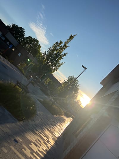 The image depicts a modern urban setting bathed in the warm glow of the setting sun. The scene is captured at a tilted angle, with the horizon line significantly skewed. In the foreground, a patterned pathway made of light grey paving stones leads diagonally into the image, reflecting the sunlight. To the left, a low, wooden bench is situated amidst green vegetation and tall grasses. Beyond the pathway, a paved area is visible, with a single street lamp positioned centrally.
In the mid-ground, trees with lush green foliage are scattered throughout, some casting long shadows. A dark-colored building with visible windows and a dark-grey facade is prominent on the left side of the image, featuring a blue parking sign. Further back, other buildings and structures are faintly discernible, suggesting a developed area.
The sky is a clear, bright blue, with wisps of white clouds scattered towards the top of the frame. The sun is low on the horizon, creating a strong lens flare effect that radiates across the right side of the image, illuminating the facade of a modern building constructed with brick and light-colored siding. The overall impression is one of a peaceful late afternoon or early evening in an urban environment, possibly a park or public space adjacent to a commercial or residential area in Kapelle-op-den-Bos, Belgium. No people are visible in the image.