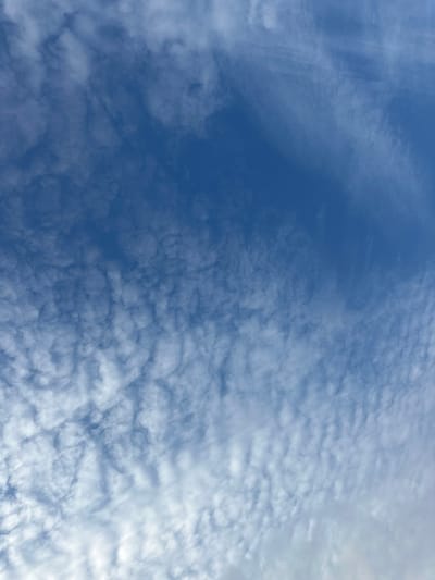 The image displays a blue sky with extensive cloud coverage, observed from Easingwold, United Kingdom. The upper and central areas of the frame are characterized by a deep blue background with scattered, white, ripple-like cloud formations, indicative of altocumulus or cirrocumulus clouds. Towards the upper right, faint, streaky clouds, possibly cirrus, are present. The lower portion of the image shows a denser aggregation of white, textured cloudlets, which become thicker and more continuous towards the bottom edge of the frame. No other subjects, objects, people, actions, or interactions are visible.