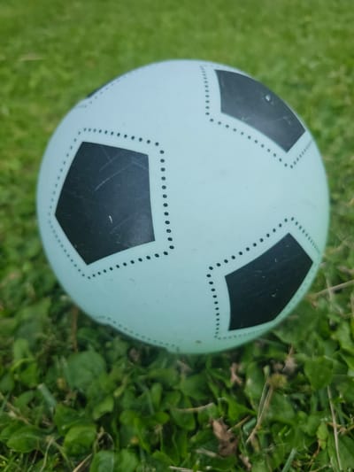 A close-up, slightly angled, eye-level shot shows a pale blue and black soccer ball resting on a patch of green grass and sparse vegetation. The ball is the primary subject and occupies the majority of the frame. It features the classic hexagonal and pentagonal panel design, with the pentagonal panels being black and outlined by a dotted line. The ball is slightly scuffed, indicating it has been used. The background consists of out-of-focus green grass and some dry leaves, suggesting an outdoor setting. There are no people or animals visible in the image. The location is not discernible from the image itself; it is not possible to determine if it is in Mäntsälä, Finland, or any other specific city.