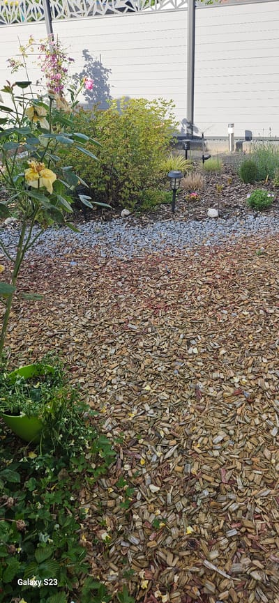 The image depicts a garden in Schwalbach, Germany. The ground is covered with a mixture of wood chips and grey gravel. Vegetation includes various plants and shrubs. A white wall with a decorative patterned fence is visible in the background, along with a dark pole. The image was taken with a Galaxy S23.