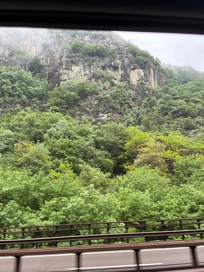 From what appears to be an indoor vantage point, the image captures a lush, mountainous landscape. In the distance, a sheer rock face, sparsely dotted with trees, rises into a misty sky. A dense forest of green foliage fills the midground, transitioning from darker shades near the rock face to brighter hues closer to the foreground. A partially obscured window frame is visible on the left, along with the dark vertical bars of a railing or fence on the right. Given the location specified as Völs am Schlern - Fiè allo Sciliar, Italy, the setting is likely within the Dolomites, a mountain range known for its dramatic peaks and dense forests. The lack of people or animals visible suggests a secluded or undisturbed environment.