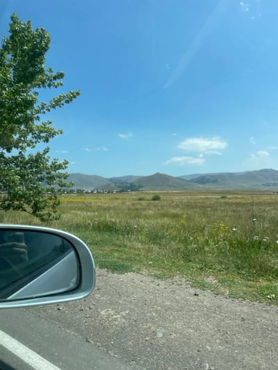 The image displays a panoramic rural landscape captured from within a stationary or slow-moving vehicle near the city of Shenavan, Armenia. The lower-left quadrant is dominated by a silver-colored vehicle side mirror, which reflects a human hand holding a dark-colored smartphone, indicative of the photographic action. Below the mirror, a section of asphalt road with a white edge line is visible, leading to a gravel shoulder. The immediate foreground transitions into a vast expanse of uncultivated land, characterized by green and yellowed grasses intermixed with various wildflowers, including small white and yellow blossoms. A large, leafy green tree partially obstructs the view on the far left. In the mid-distance, a cluster of buildings with light-colored roofs is discernible, suggesting a small, distant settlement. The background is defined by a series of undulating, brownish-green hills and mountains. The sky is bright, clear blue with a few scattered white cumulus clouds. A faint diagonal linear reflection is present across the upper-right portion of the sky. The scene is illuminated by direct sunlight, indicative of a clear daytime environment during a warm season. No other individuals or active subjects are present in the visible scene.