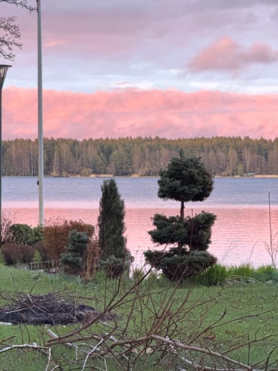 The image depicts a landscape in Baltezers, Latvia. A body of water, likely a lake, stretches from the center to the left of the frame. A dense forest line is visible on the opposite shore, reflecting in the water. The sky above displays hues of pink and grey clouds, indicative of a sunset or sunrise.

On the right side of the image, the foreground features green grass, trees, and bare shrubs, typical of a natural or garden setting. The ground slopes downwards from right to left. A metal pole partially obscures the view on the lower left. The image is rotated 90 degrees counter-clockwise.