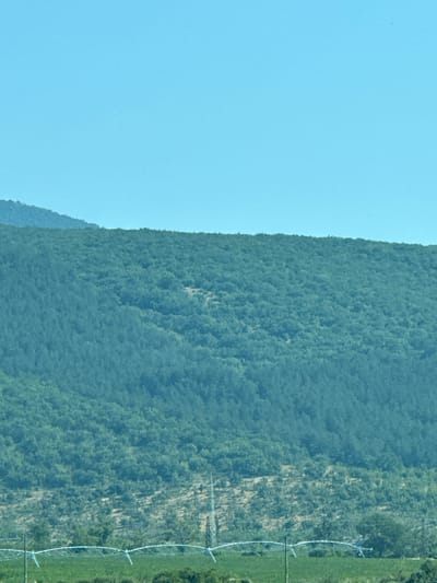 The image depicts a vast, tree-covered mountain slope under a clear, light blue sky. The vegetation on the mountain appears dense and uniformly green. In the foreground, a wire fence with white insulators is visible, strung between poles. Beyond the fence, there is a strip of green vegetation, possibly a field or pasture. Further in the background, before the mountain slope begins, there are sparse trees and some signs of human infrastructure, including what appears to be a tall, slender tower or pole, likely part of a communication or power line. The overall scene suggests a rural or natural landscape, potentially on the outskirts of Gavrailovo, Bulgaria, characterized by its mountainous terrain and open sky.