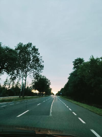 The image depicts a view from a vehicle traveling on a two-lane road with white dashed and solid lines marking the lanes. The road is lined with trees on both sides. On the left, there are several tall trees, including one with a white trunk, and further back, a denser line of trees. On the right, a thick line of dark green trees forms a visual barrier. The sky is overcast with a pale, almost cloudless expanse. In the distance, the road curves slightly, and faint headlights of other vehicles can be seen. The sun appears to be low on the horizon, casting a soft, hazy light through the trees on the left side of the road, suggesting it is either dawn or dusk. There are traffic signs visible along the roadside, including a blue sign with a white symbol on the right. The ground beside the road is covered in grass and vegetation. The overall impression is of a journey through a rural or semi-rural area. While the image is taken from a vehicle, no people are clearly visible. The location is identified as Suchocin, Poland.