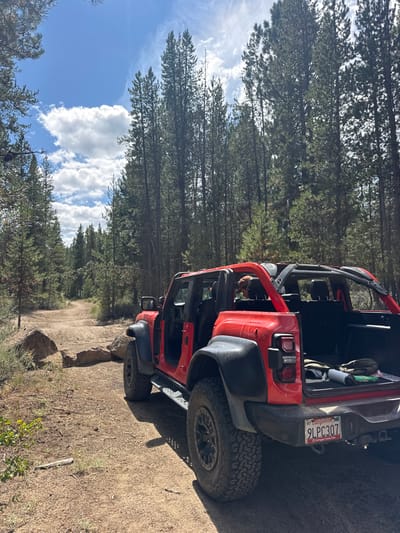 A red, four-door Jeep Wrangler, with Oregon license plate 9LPC307, is stationary on a dirt trail. The vehicle's passenger-side doors are removed, and its soft top is open, exposing the interior roll cage. The rear tailgate is lowered, revealing a dark rolled mat, a green bag, and other items in the cargo area. A light-brown dog is visible in the rear passenger seat. The vehicle is equipped with black aftermarket wheels and aggressive off-road tires. The environment is a dense forest dominated by tall coniferous trees, likely Ponderosa pines, under a bright, partly cloudy sky. The ground consists of packed dirt with scattered rocks and sparse vegetation. This setting is consistent with the extensive network of off-road trails in the Deschutes National Forest, located west of Bend, Oregon, United States.