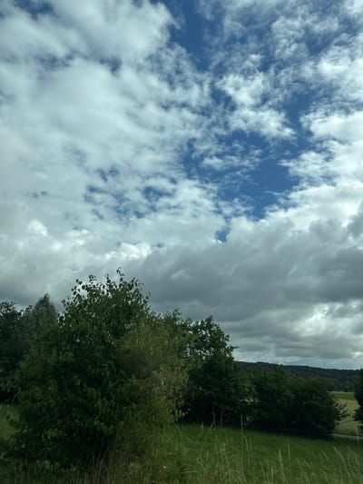 The image displays a natural landscape scene, likely in a rural or semi-rural setting within Zurzach, Switzerland. The upper two-thirds of the frame are dominated by a contrasting sky. On the left, patches of vibrant blue sky are visible through scattered, wispy white clouds, indicative of fair weather. In stark contrast, the right side of the sky features a dense expanse of uniform, dark grey clouds, suggesting overcast conditions or an approaching weather front.

In the foreground on the right, a large, leafy deciduous tree with rich green foliage partially extends into the frame. Further into the mid-ground, a forested hill or mountain range stretches horizontally, its dark green canopy silhouetted against the sky. Below this treeline and on the far right foreground, areas of green grass and some taller, dry vegetation are visible.

No people, animals, or man-made structures are present in the image. The scene captures a moment of dynamic weather during daylight hours, with a clear distinction between two types of cloud formations. There is no visible text.
