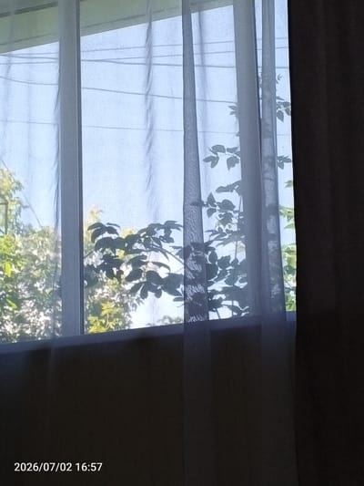 The image captures a view through sheer white curtains, looking out at a window. Outside, lush green trees and foliage are visible, some of which are casting shadows on the curtains. The sky appears bright, suggesting daylight. The overall scene is domestic, likely from within a residence. The timestamp "2026/07/02 16:57" is overlaid on the bottom left of the image, indicating the date and time the photograph was taken. There is no information about the city of Chany, Russia, or any people present in the image.