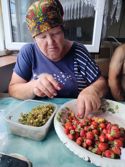 A woman is sitting at a blue-green table, focused on sorting strawberries. She is wearing a dark blue t-shirt with a white striped sleeve and a colorful patterned headscarf. Her hands are actively engaged in separating the strawberries, with one hand holding a strawberry and the other reaching for more from a white bowl filled with ripe red strawberries. Next to the bowl of sorted strawberries is a clear plastic container filled with strawberry stems and leaves, suggesting she is in the process of preparing them.
The scene appears to be indoors, possibly in a kitchen or dining area, with a window visible in the background. The window has white framing and a sheer white curtain hanging from above, decorated with a beaded fringe. Light streams in from the window, illuminating the table and the woman. A couch with a patterned fabric is visible behind the woman, and a portion of another person's bare arm and shoulder can be seen on the right side of the frame, suggesting company. The overall mood is one of quiet, focused activity. The presence of fresh strawberries and the detailed sorting suggest a domestic task, possibly related to preserving or consuming the fruit.