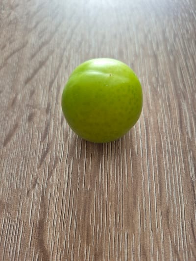 A single, ripe, green plum rests on a wooden surface. The plum is round and smooth, with tiny pores visible across its skin. The wooden surface has a light brown hue with prominent vertical grain patterns. The lighting suggests an indoor setting, possibly a tabletop. The image does not contain any contextual information that would allow for its location to be identified as Etimesgut, Turkey.