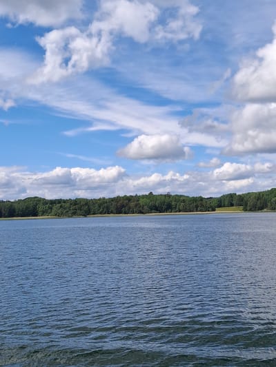 This image captures a wide natural landscape located in Mörkö, Sweden. The scene is dominated by a large body of water in the foreground and mid-ground, extending across the lower two-thirds of the frame. The water surface is a deep blue-grey, textured with numerous small, consistent ripples, indicating a light breeze.

Above the water, a dense, continuous treeline forms the horizon, stretching horizontally across the entire width of the image. The trees display various shades of green, suggesting a mix of deciduous and coniferous species with lush foliage. In the central-right portion of the treeline, a lighter, possibly sandy or cleared area is visible between the water's edge and the start of the forest. The terrain behind the immediate treeline appears gently undulating.

The upper third of the image is occupied by a bright blue sky filled with scattered white cumulus clouds of varying sizes. Some clouds exhibit darker grey undersides, and wispy cirrus clouds are also present, particularly lower in the sky. The overall lighting suggests a clear, bright day.

No individuals, animals, or man-made structures are visible within the frame. The scene depicts a serene natural environment.