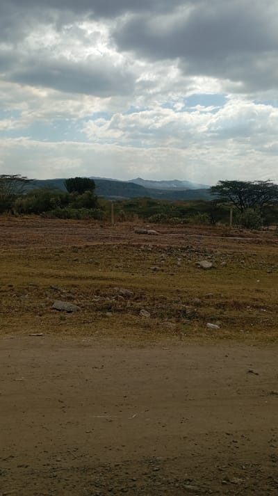 A wide-angle shot captures a landscape under a cloudy sky. The ground is mostly brown dirt and patchy grass with scattered rocks. In the mid-ground, two wooden posts stand amidst low bushes and trees. Distant hills and mountains are visible, appearing hazy. The sky is filled with grey clouds with patches of blue peeking through. The scene suggests a rural or natural environment.