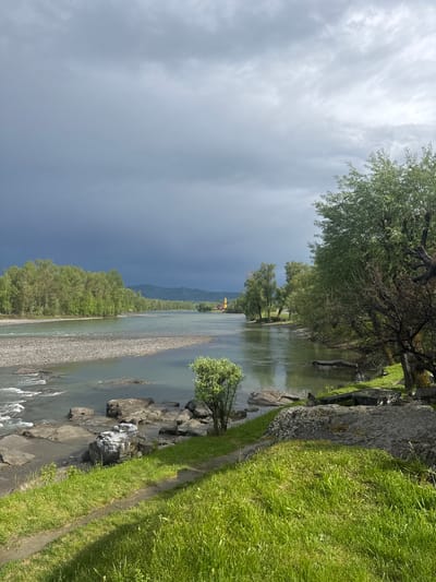The image shows a view of the Katun River in Aya, Russia. A wide, shallow river flows between wooded banks on the left and a grassy, rocky bank on the right. Storm clouds fill the left sky, casting a dark shadow on the forest along the riverbank. Further down the river, the sky is brighter. In the distance, mountains are visible. On the right bank, green grass grows alongside large gray rocks leading down to the water's edge. Trees line the bank above the rocks and grass. The photo appears to be taken from a high vantage point, possibly a bridge or embankment. There are no people visible in the image.