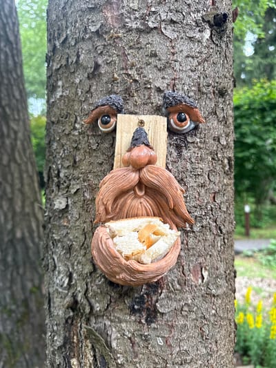 A whimsical, face-like sculpture is attached to the rough bark of a large tree, likely in a park or wooded area in Sosny, Russia. The sculpture, made of what appears to be clay or resin, features prominent, wide-set eyes with brown irises and dark pupils, outlined with dark, textured material resembling eyebrows or hair. Below the eyes, a light-colored wooden plank is affixed to the tree. Centered on this plank is a nose and mustache formation. The nose is bulbous and brown, topped with a dark, textured cap or hat. The mustache is a thick, flowing, reddish-brown color, curling outwards. Below the mustache, a rounded, bowl-like structure forms the mouth, filled with chunks of white bread. The background consists of blurred green foliage and trees, with hints of yellow flowers and a path visible in the distance, suggesting an outdoor, natural setting. The tree itself is thick and textured, with visible bark patterns.