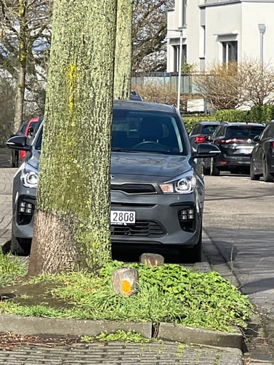 The scene depicts an outdoor urban environment in Würselen, Germany, under clear daylight conditions. A prominent tree trunk, covered in light green lichen, stands in the left foreground, partially obscuring the front of a dark gray Kia passenger vehicle. The Kia's front license plate is partially visible, displaying the numbers "2808". Its headlights are illuminated. The base of the tree is surrounded by green ground cover and grass, separated by a concrete curb from a paved surface where the vehicle is parked. Within the green patch, two small, cut wooden posts are present; one post exhibits an orange reflective marking. To the right and behind the Kia, several other vehicles are parked, including a dark-colored SUV. In the background, bare deciduous trees are visible, along with multi-story buildings featuring light-colored facades and dark window frames.