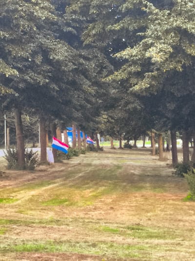 The image shows a row of trees lining a path with a grassy area on the right. In the background, there are several flags displayed, appearing to be the national flag of Luxembourg (red, white, and blue horizontal stripes). The scene is outdoors and appears to be in a park or along a road. The overall impression is one of a calm, perhaps festive, outdoor setting. The exact location in Almere, Netherlands, cannot be determined from the image alone.