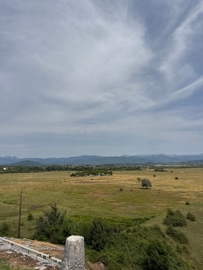 An overcast, late spring day in Ridjani, Montenegro, is captured in this wide landscape photograph. A vast, flat field dominates the middle ground, its dry, yellowed grass hinting at a hot, dry period. Scattered across the field are patches of greener grass and a few isolated trees, one with a distinct, spreading canopy. In the distance, a low line of rolling, blue-green hills forms the horizon, topped with a hazy sky. The foreground shows a rough, unpaved area with some overgrown vegetation. A tall, wooden utility pole stands on the left, its surface weathered and aged. A rough-hewn stone pillar stands in the lower right corner, adding a rustic element to the scene. The overall impression is one of rural tranquility, a vast and open landscape under a muted sky.