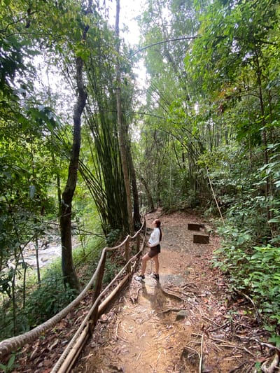 A person is hiking along a dirt path through a dense forest in Tambon Thai Mueang, Thailand. The path is uneven, with tree roots exposed and steps constructed with logs and dirt. The surrounding vegetation includes various trees, bamboo, and lush green foliage. A rope is used to help hikers navigate the steep terrain. A stream is visible through the trees to the side of the path.