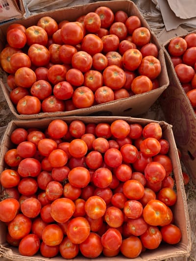 Two open cardboard boxes are filled to the brim with ripe red tomatoes. The boxes are stacked and appear to be outdoors, possibly at a market or farm stand, with dried leaves or dirt visible on the ground. The tomatoes are round and vary slightly in size and shade of red, with some showing subtle imperfections. The overall impression is one of abundance and fresh produce.
