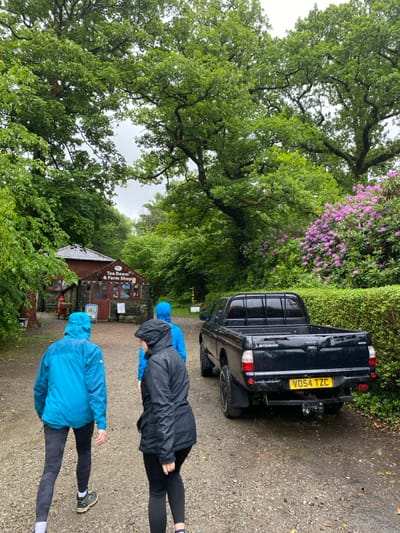 The scene is a gravel path in front of a tea room and farm shop in Keswick, United Kingdom. The coordinates (54.594, -3.123) pinpoint the location. It is a rainy day, and four people are walking away from the shop. One person is wearing a bright blue jacket, and another is wearing a black jacket. There is a black pickup truck parked to the right of the path. The truck's license plate reads "V054 TZC". Lush, green foliage surrounds the path, and there are pink rhododendrons blooming in the background. The path is wet from the rain. The tea room sign reads "Tea Room & Farm Shop". The image captures a moment of ordinary life in the countryside.