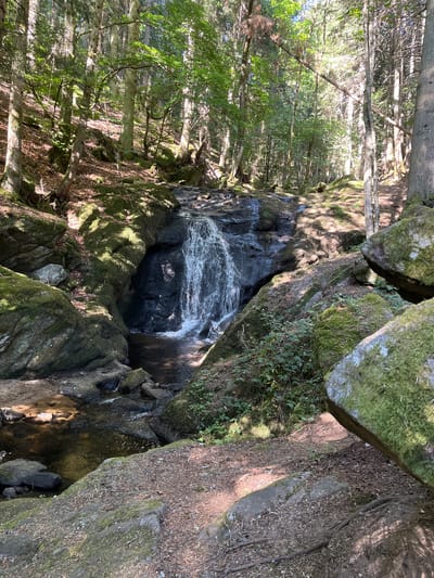 The image depicts a small waterfall cascading over dark, moss-covered rocks in a dense, sun-dappled forest. The water flows into a shallow, dark pool. Surrounding the waterfall are large, moss-covered boulders and a path made of dirt and fallen leaves. Tall trees with green foliage form a canopy overhead, allowing sunlight to filter through in patches. The scene appears to be a natural setting, likely a hiking trail or a secluded spot within a forest. The location is identified as being in the city of Gumières, France. There are no people or animals visible in the image.