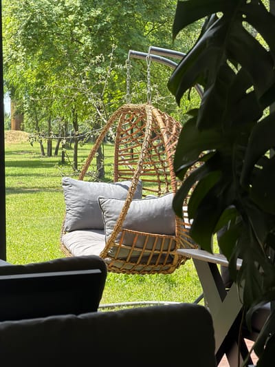 The image depicts a serene outdoor setting in Revne, Ukraine, featuring a hanging wicker chair adorned with gray cushions, suspended by chains from a metal frame. The chair is positioned in a lush green garden, with manicured grass and a backdrop of mature trees. In the foreground, the silhouette of furniture suggests a patio or covered seating area. A large Monstera plant with dark green leaves partially obscures the view of the hanging chair and the surrounding greenery. The lighting indicates a bright, sunny day.