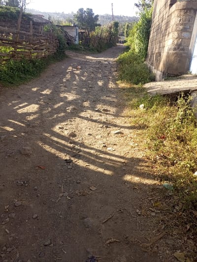 The scene depicts an unpaved dirt road in Kiamaina ward, Kenya, illuminated by direct sunlight creating long shadows. The road, composed of packed earth and scattered rocks, ascends slightly into the distance, narrowing as it curves right. Parallel, elongated shadows, likely from an unseen structure or vegetation to the left, stretch across the road. Scattered debris, including plastic items and organic matter, is visible on the road and alongside its edges.

To the left of the road, a rustic wooden fence constructed from horizontal branches separates the road from dense green vegetation and a small, corrugated metal structure, possibly a dwelling or shed, further back. Beyond this, hills with sparse vegetation and additional distant structures are visible under a bright sky.

To the right, a weathered concrete block wall, possibly a retaining wall or part of a building, rises steeply from the roadside. Lush green and dried scrub vegetation grows along the base of this wall and beside the road. A concrete drainage culvert or channel is present at the junction of the road and the wall's base. Faint, indistinct human figures are discernible in the far distance along the winding road. No explicit actions or interactions are clearly visible.