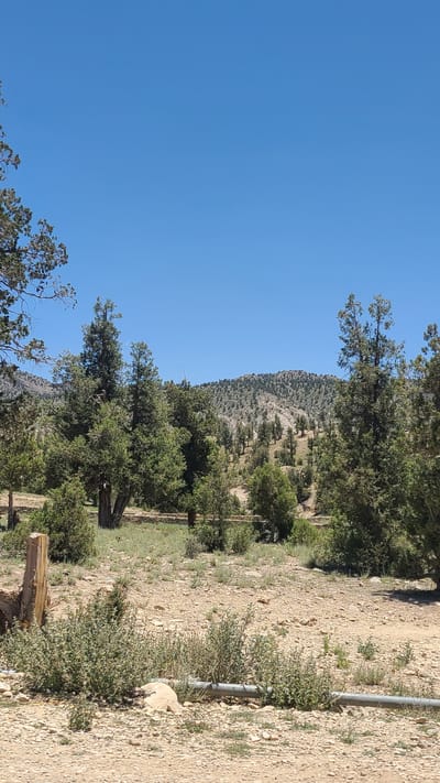 The image depicts a landscape in Ziarat, Pakistan, under a clear blue sky. A mountain ridge sparsely covered with trees is visible in the distance. The foreground features a dirt terrain with scattered rocks and shrubs. Trees and wooden logs are present on the right side. A metallic pipe runs along the ground near the right edge of the frame. No people are visible in the image.