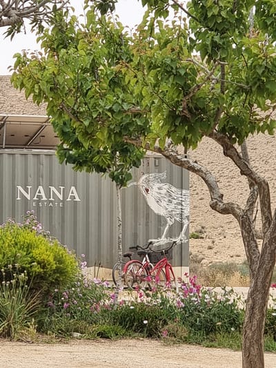 An outdoor view in Mizpe Ramon, Israel, shows a grey, corrugated shipping container with "NANA ESTATE" vertically printed on its side. A white artistic rendering of a bird with a red eye decorates the container's surface. Adjacent to the container, a red bicycle leans against it amid flowering plants. The scene is partially obscured by foliage from nearby trees and shrubbery. A light-colored wall or ground is visible to the right.