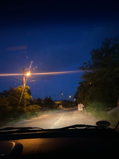 The scene is a nighttime view from inside a vehicle driving on a road. The sky is a dark blue. Streetlights illuminate the road ahead, which is lined with trees. There's a large, light-colored object or figure in the middle of the road, possibly an animal or obscured object. The vehicle's windshield and wipers are visible in the foreground. The location can be deduced to Pishtigovo, Bulgaria, based on provided information, if the image was taken there.